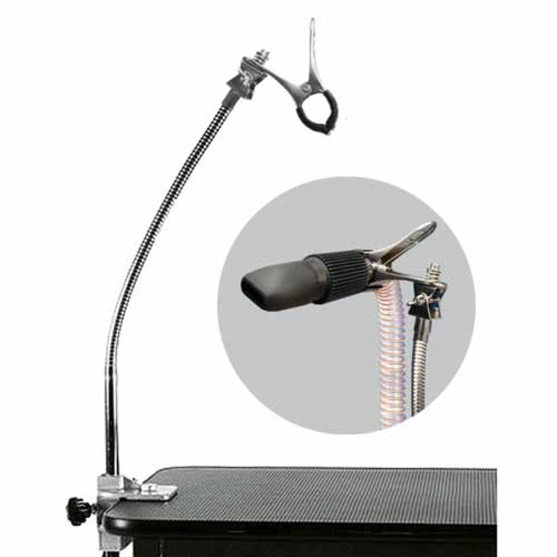 Flex Arm na may Clamp